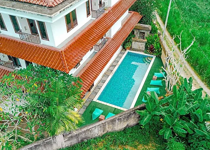Starloka Saba Bali